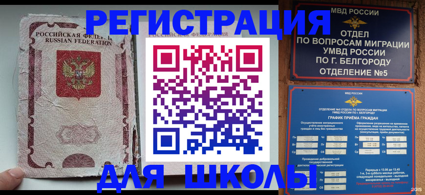 прописка гарантия в Щёкино
